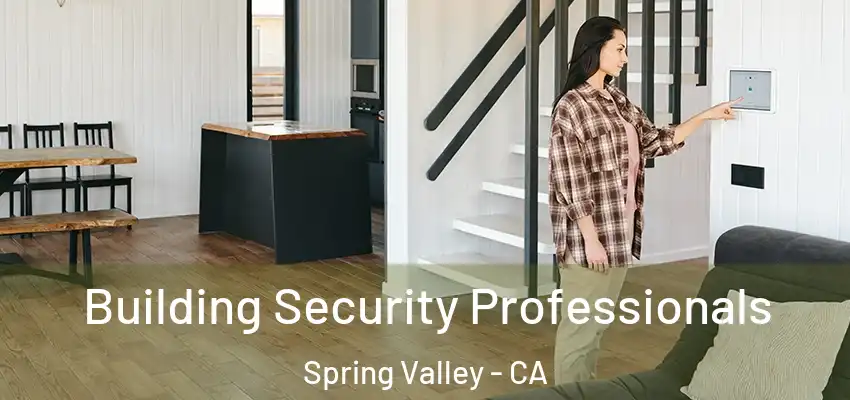  Building Security Professionals Spring Valley - CA