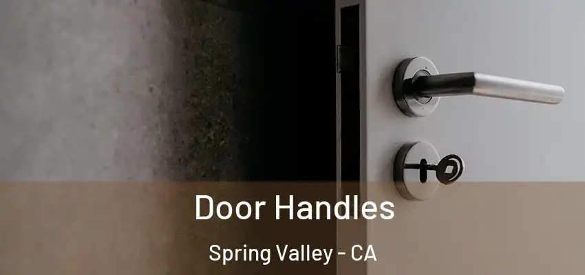 Door Handles Spring Valley - CA