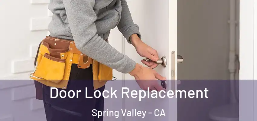  Door Lock Replacement Spring Valley - CA