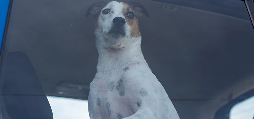 Car Lockout Solutions in Spring Valley, California