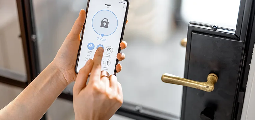 Remote Control Locks Sensor Repair in Spring Valley, California