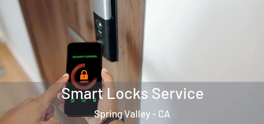 Smart Locks Service Spring Valley - CA